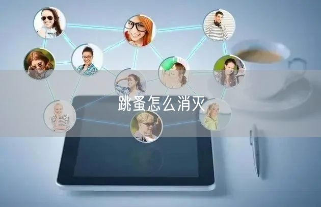 跳蚤怎么消灭